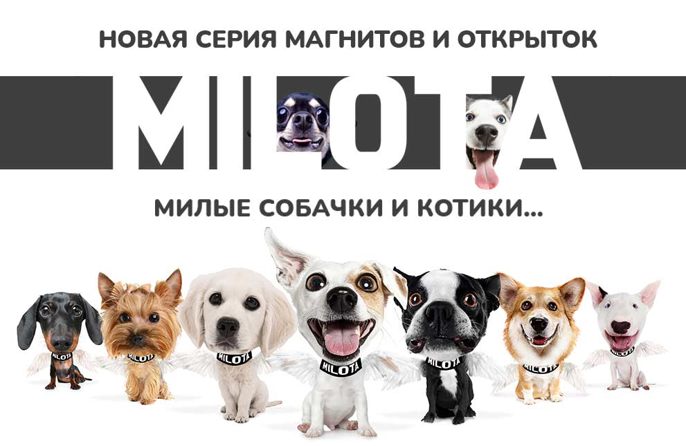 Milota-dog-plus.jpg